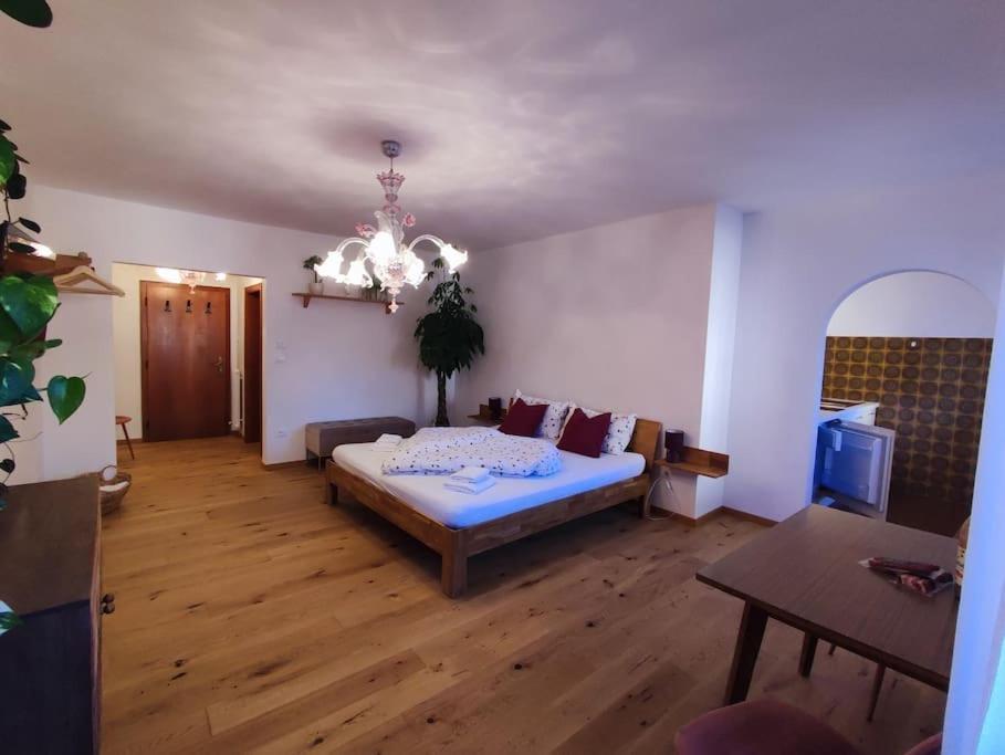 Gemuetliches Mit Garagenparkplatz Apartment